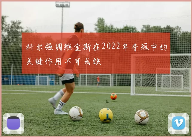 科尔强调维金斯在2022年夺冠中的关键作用不可或缺
