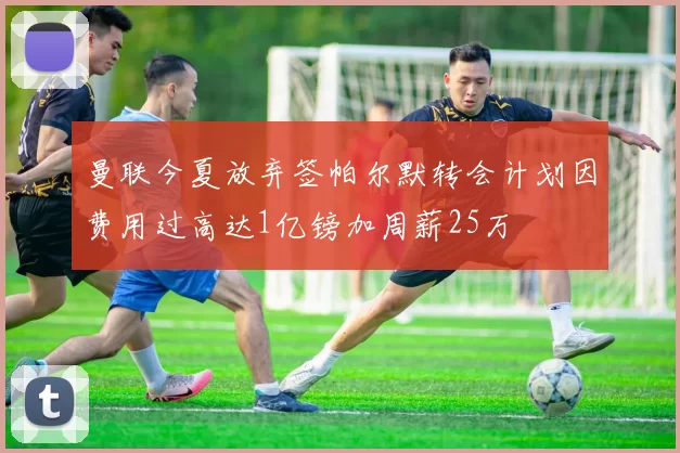 曼联今夏放弃签帕尔默转会计划因费用过高达1亿镑加周薪25万