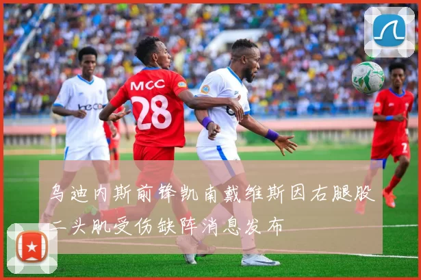 乌迪内斯前锋凯南戴维斯因右腿股二头肌受伤缺阵消息发布